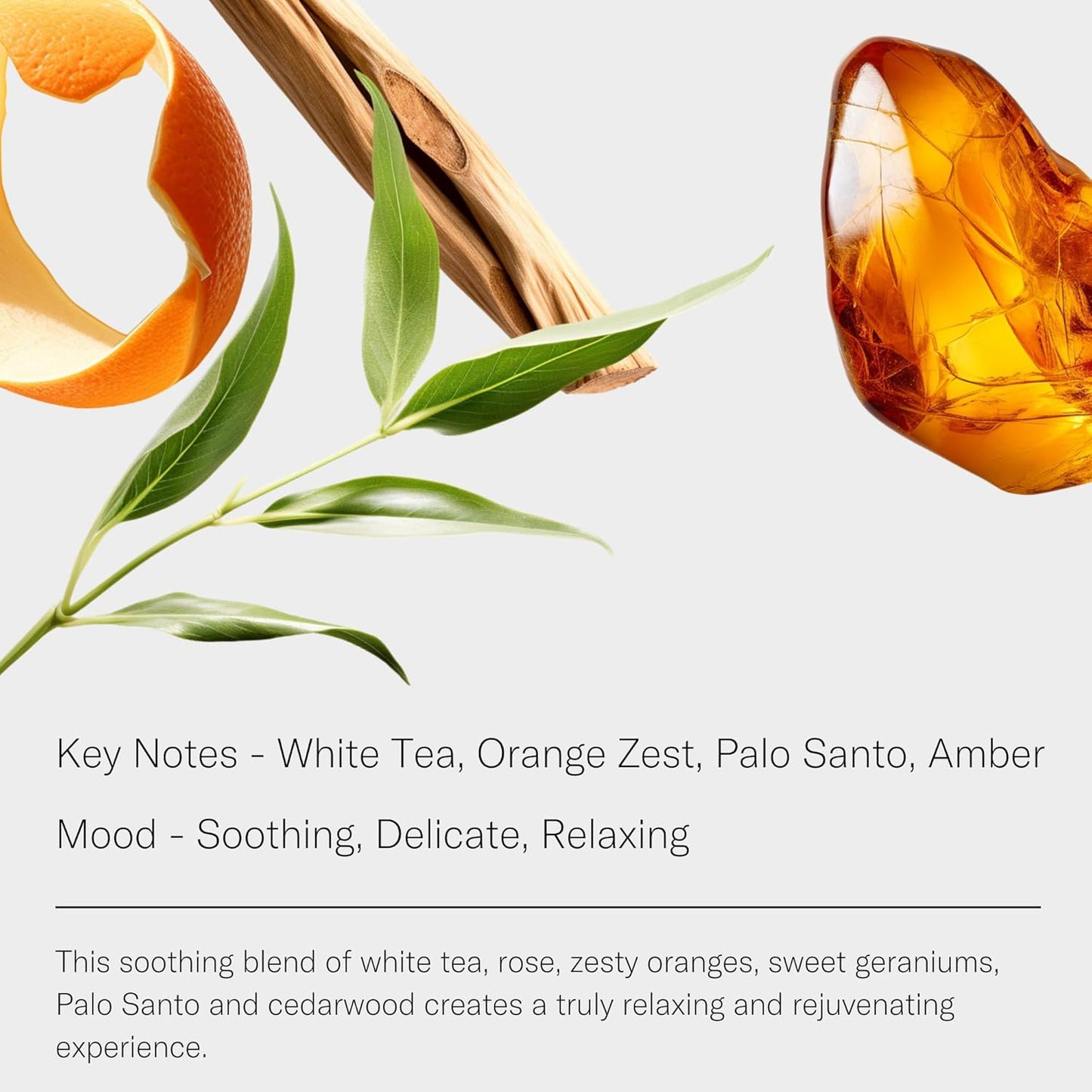 White Tea Aroma Essential Oil Blend: Luxury Hotel Inspired Aromatherapy with White Tea, Orange & Palo Santo for Ultrasonic Diffusers & Nebulizers - 16 Fl Oz, 500 Ml