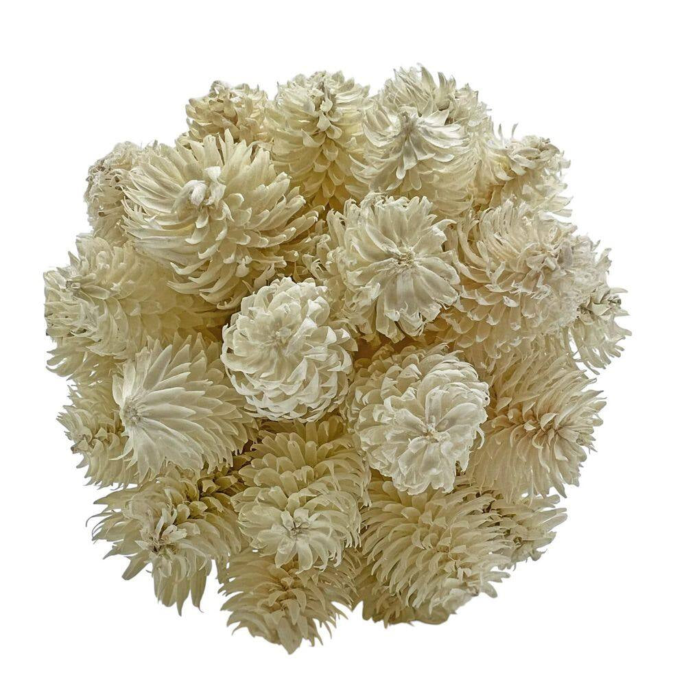 Preserved Conifer Pinecone Topiary Balls