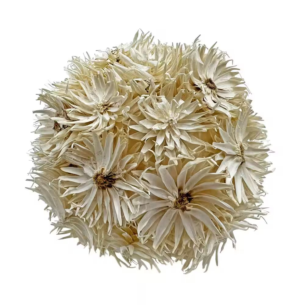 Preserved Conifer Pinecone Topiary Balls