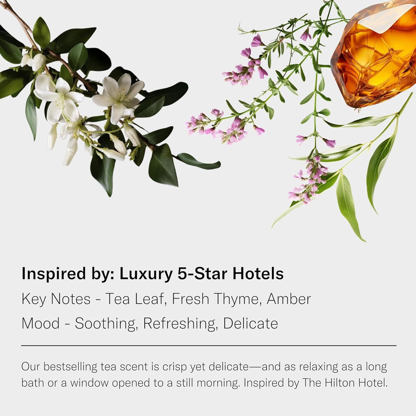 White Tea and Thyme Aroma Essential Oil Blend: Luxury Hotel Inspired Aromatherapy with Tea Leaf, Fresh Thyme & Amber for Ultrasonic Diffusers & Nebulizers - 0.3 Fl Oz, 10 Ml